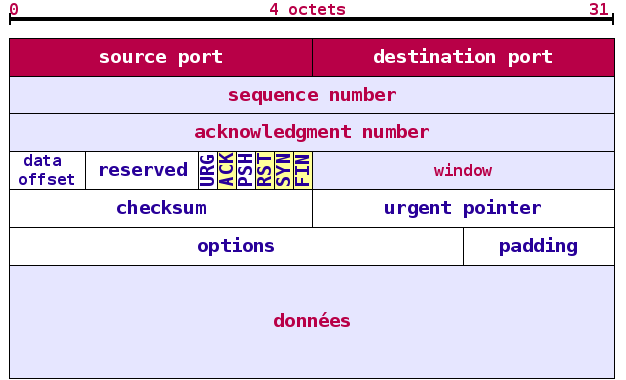 TCP Header